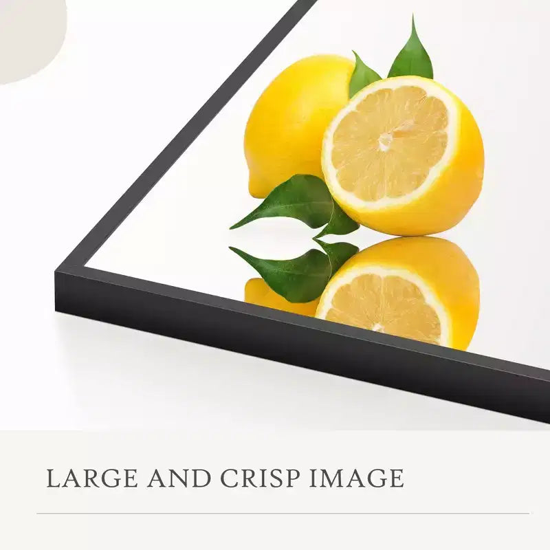 16x59 Full Length Mirror, Shatterproof HD Glass Metal Frame, Floor/Wall Mounted for Bedroom Closet Entryway